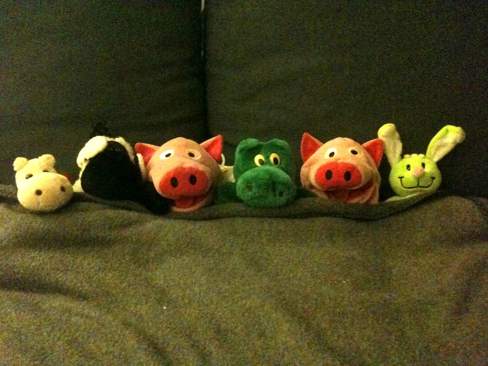 Gruppenbild vor dem Einschlafen.