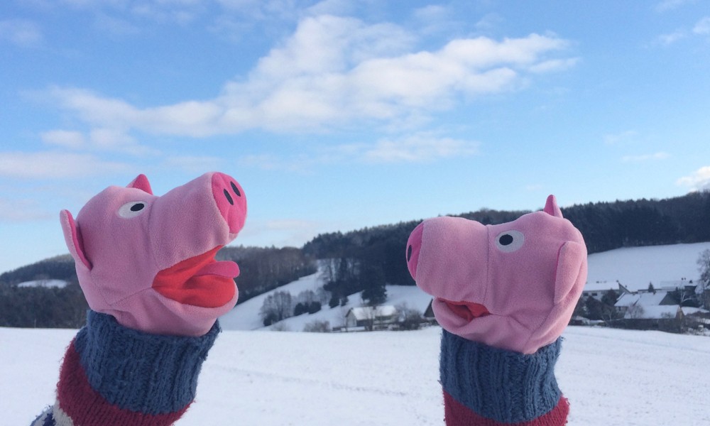 Ein Schwein schlägt vor, sich bei Nachbarn in Wüstenhof vorzustellen.