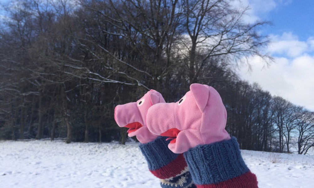 Die Kühe sind aber nicht zu Hause, da drüben sind sie am Schlitten fahren. 