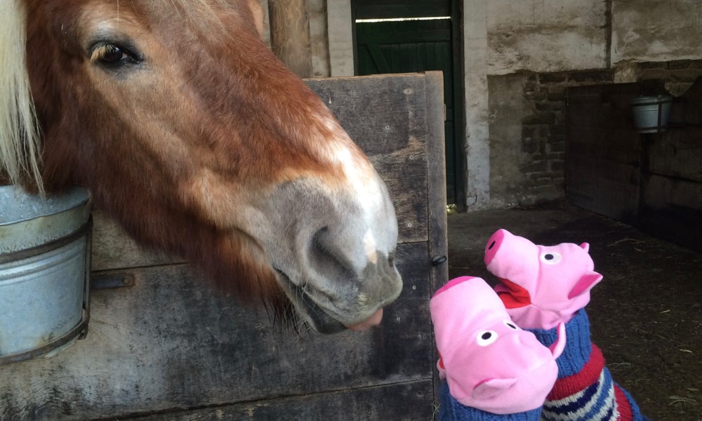 Im Freilichtmuseum gab es nämlich lecker Apfelkuchen.