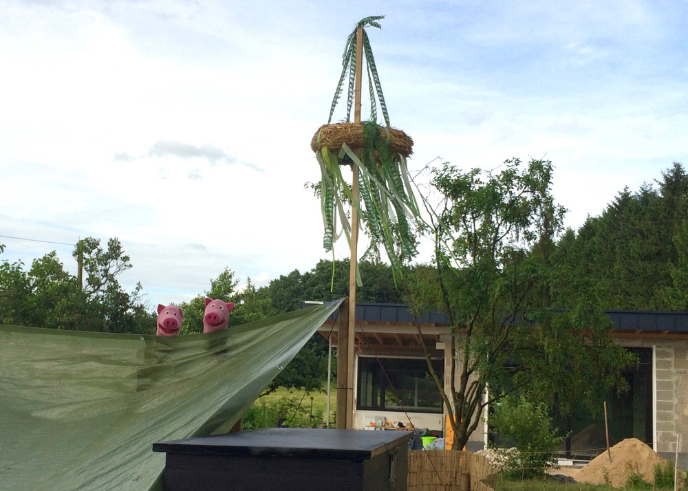 Richtfest! Alles ist fertig aufgestellt. Die Schweine geben den Startschuss.