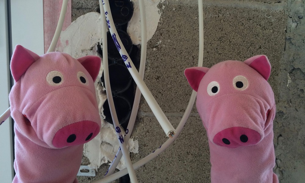 Die Schweine befürchten Kabelsalat.