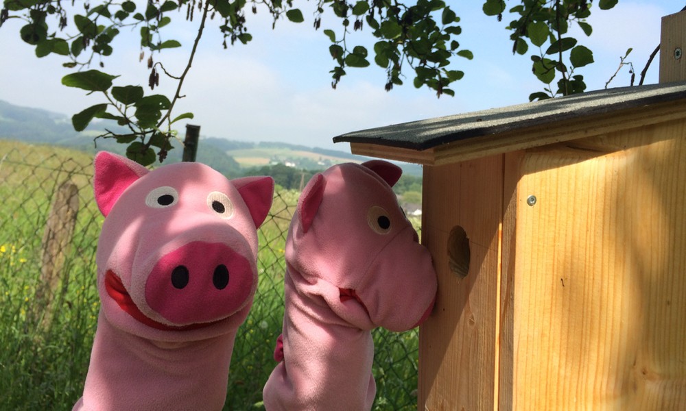 Das ist nämlich im Gegensatz zum Haus von den Schweinen schon fertig. 