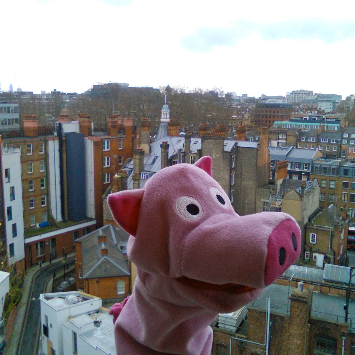 Herr Noeff Noeff aus England, die Ähnlichkeit ist verblüffend!