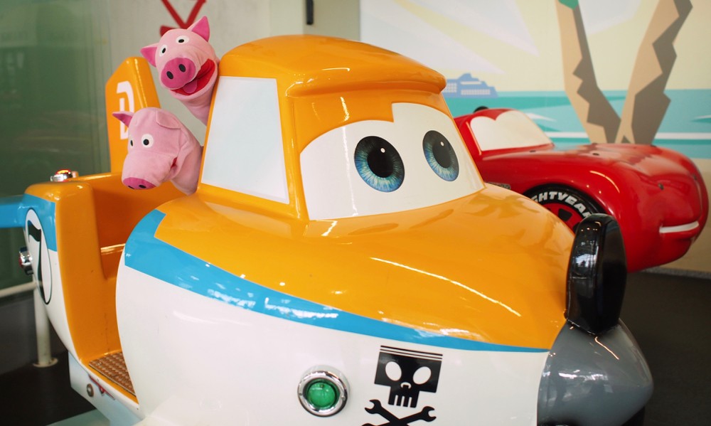 Für die Anreise haben die Schweine das Flugzeug gewählt.