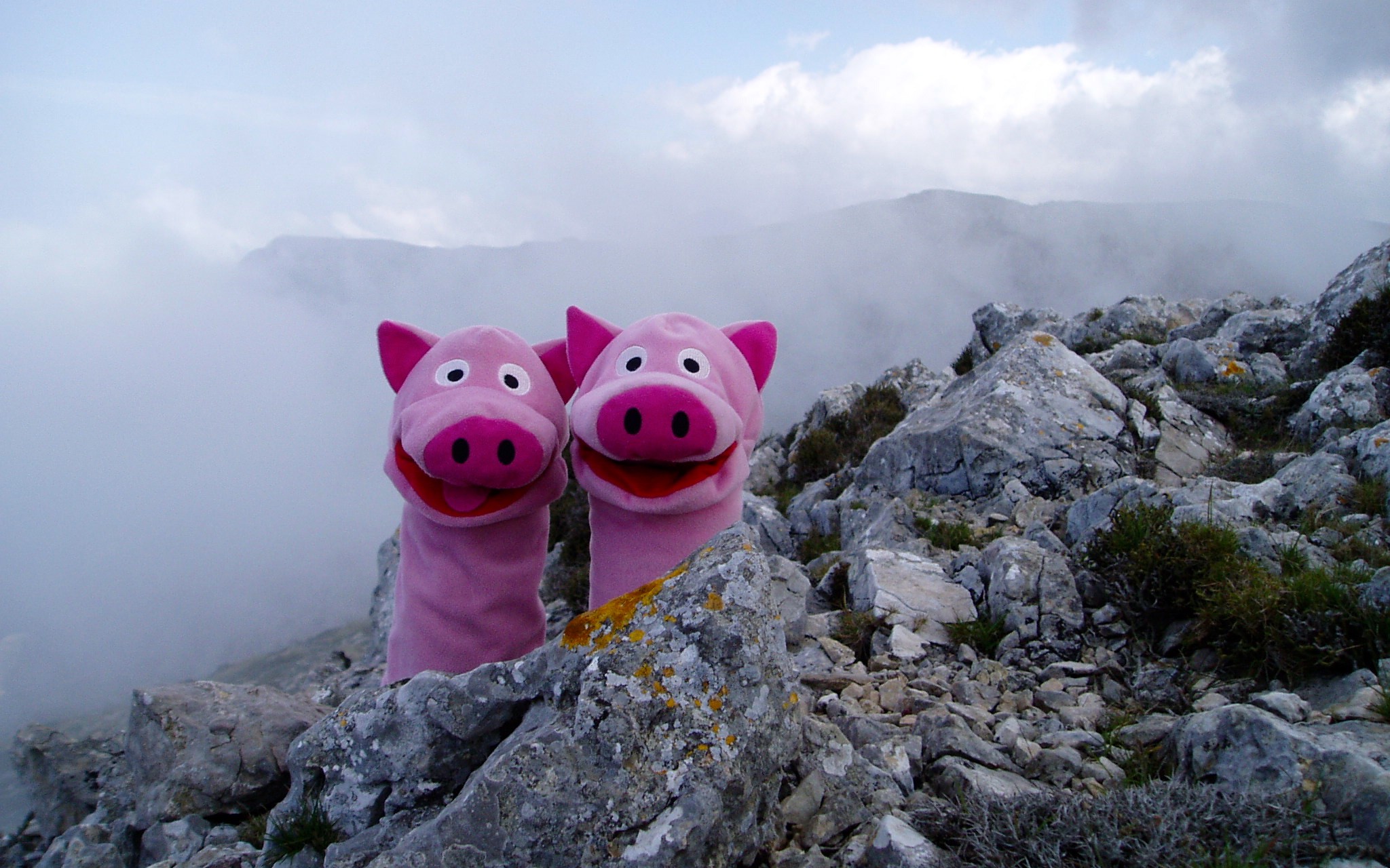 Die nächste Wanderung führte weit nach oben.