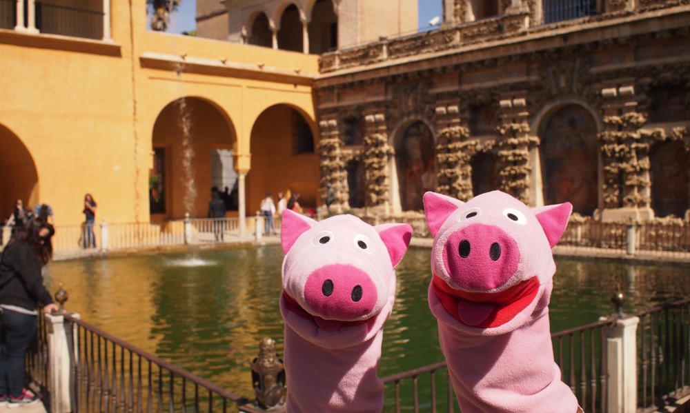 Auch eine schöne Suhle: mit einem kleinem Wasserfall!