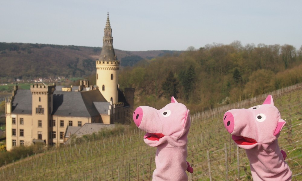 Das Schloss des Jahres: 365 Fenster, 52 Türen, 12 Türme.