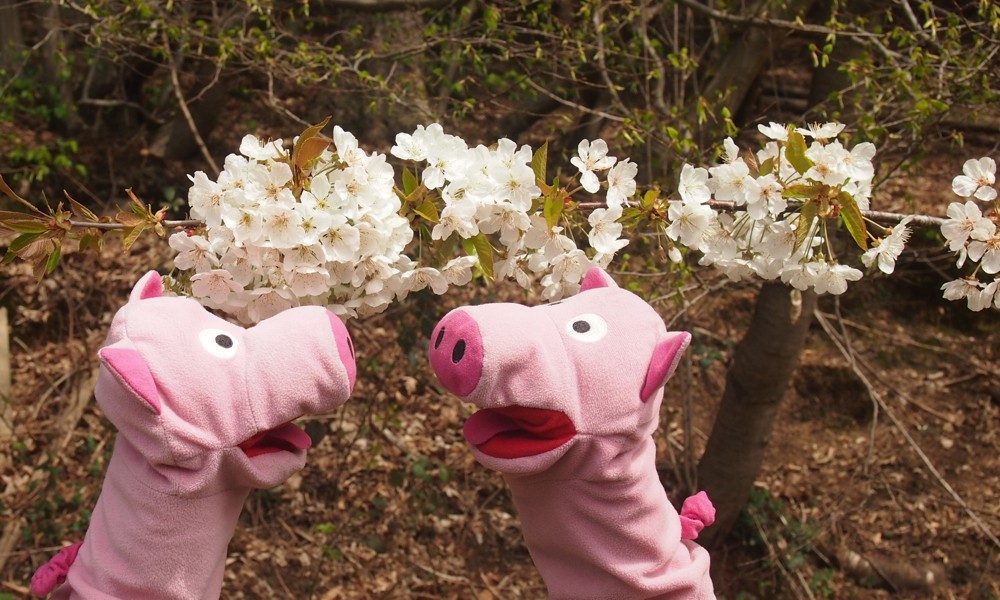 ... und verabreden sich zu einer Fahrt zur Kartoffelblüte bei Birkesdorf. 