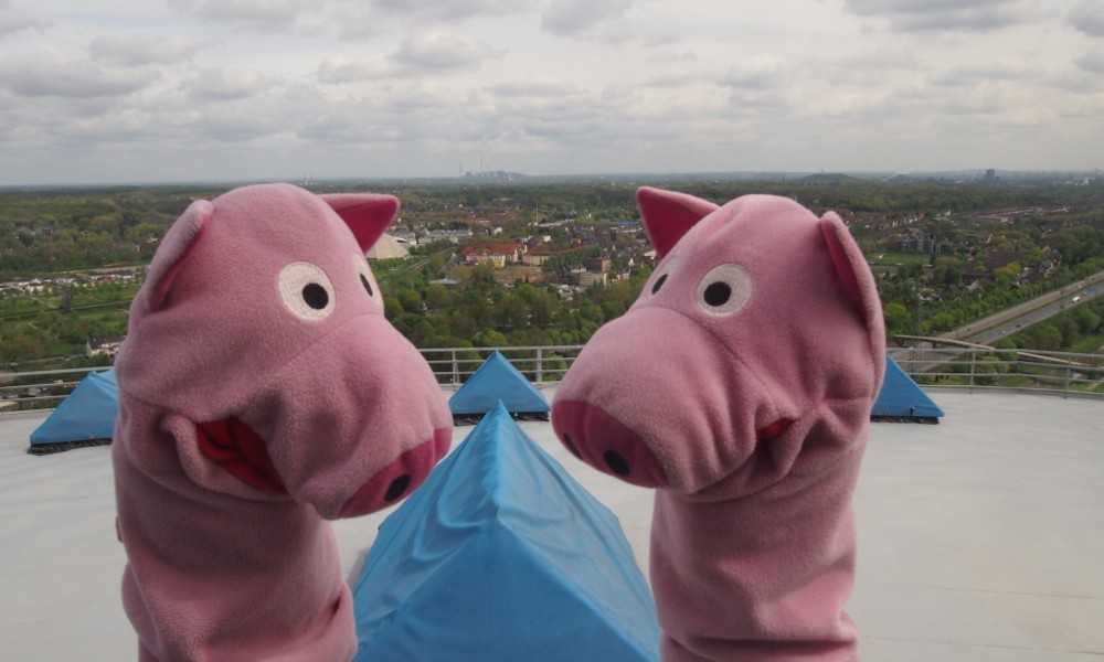 Die Schweine erfahren, dass es sich um einen GASOmeter handelt.