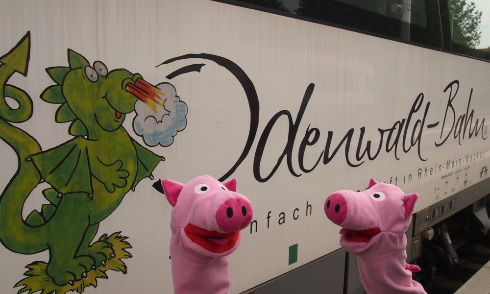 Mit de Odewaldbahn sin die Schweine über Groß-Umstad Wiebelsbach angereist.