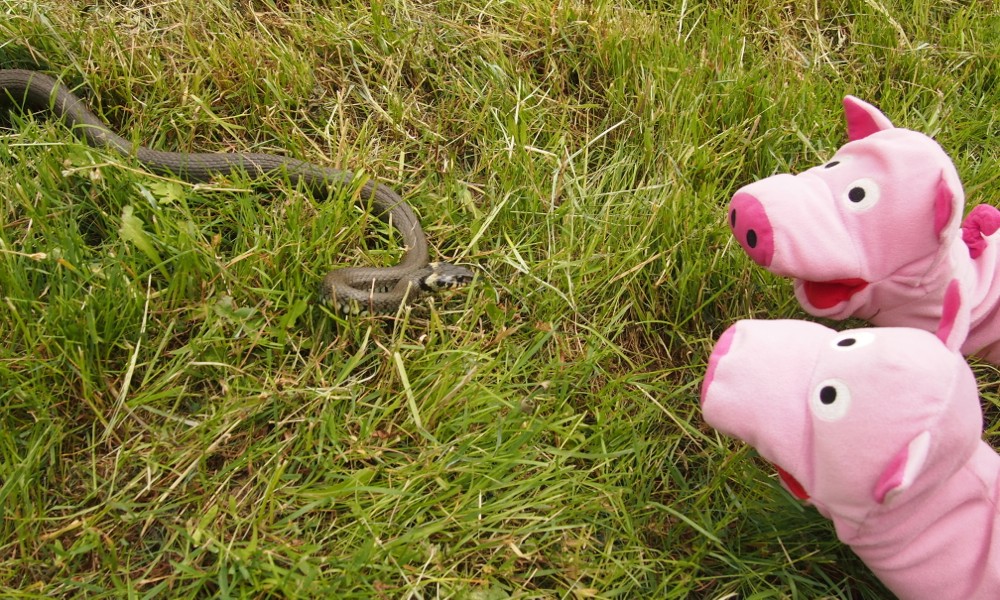 Ah guck! Noch aane ohne Beine, gell?