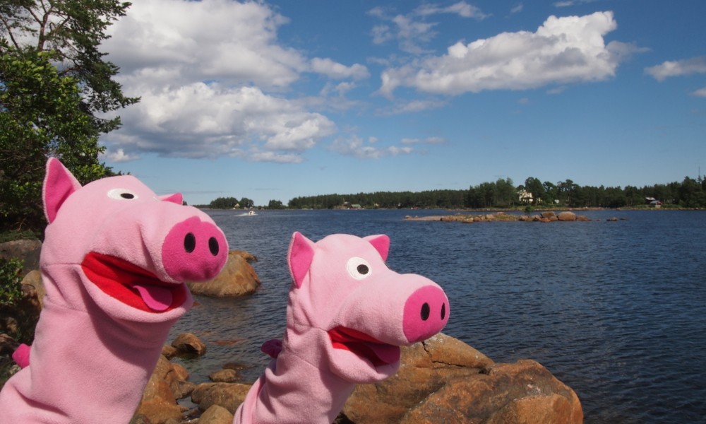 Direkt zu Beginn waren die Schweine in den Schären von Söderhamn (Südhafen) unterwegs.
