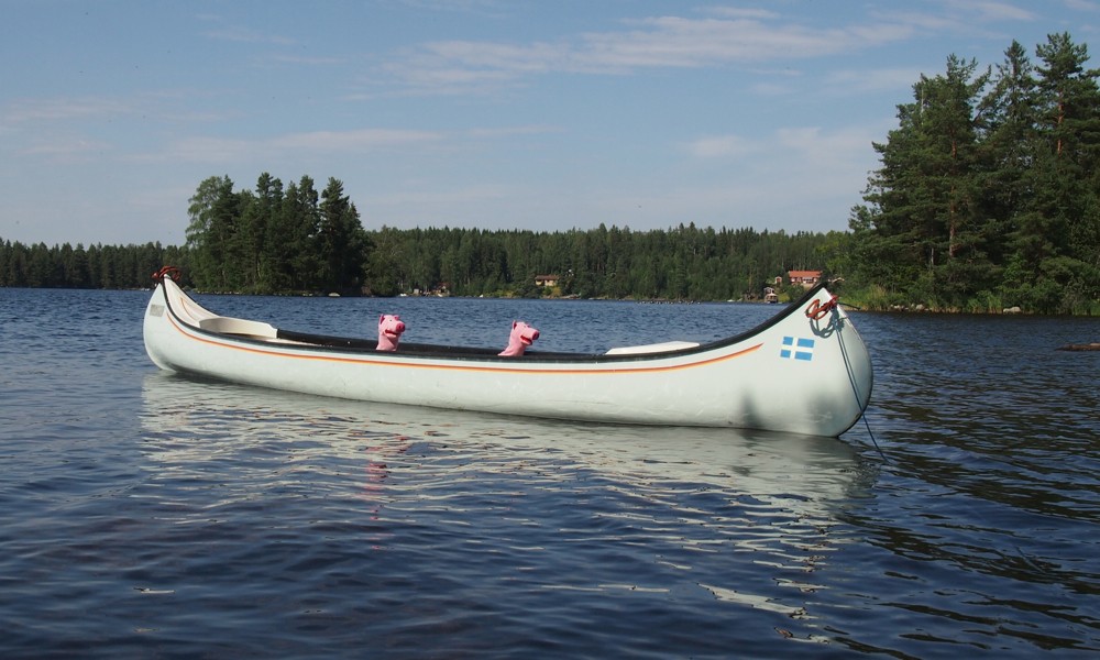 Schließlich waren die Schweine mit dem Boot unterwegs.