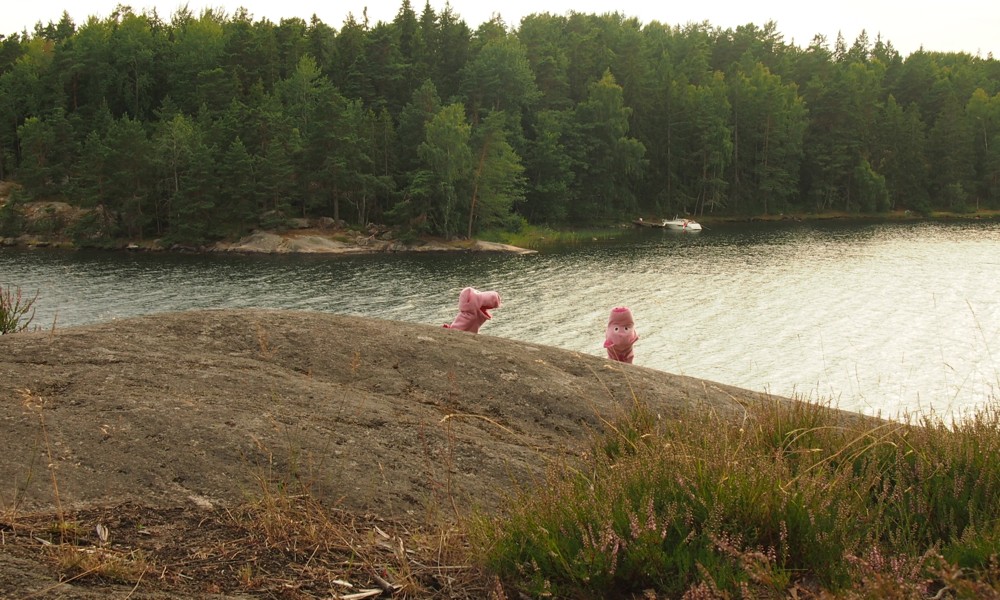 In den Schären glitzert alles ganz fein. 