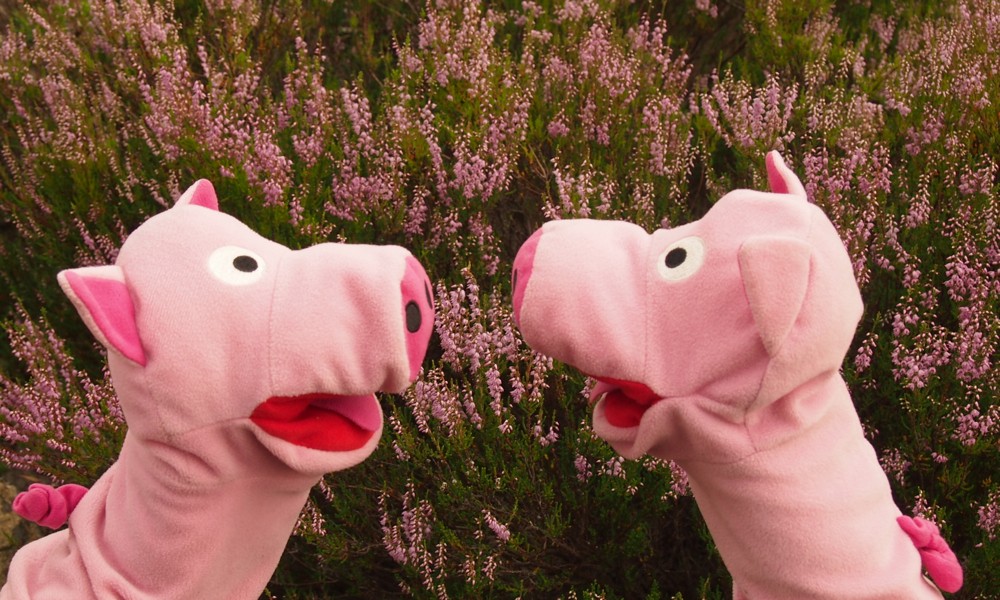 Im Tyresta-Nationalpark finden die Schweine farblich ansprechende Erika. 