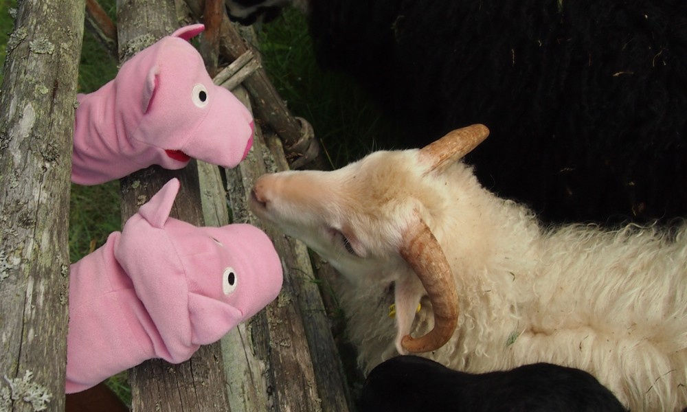 Ach, den Wolf haben die Schafe neulich mit Kötteln beworfen. 
