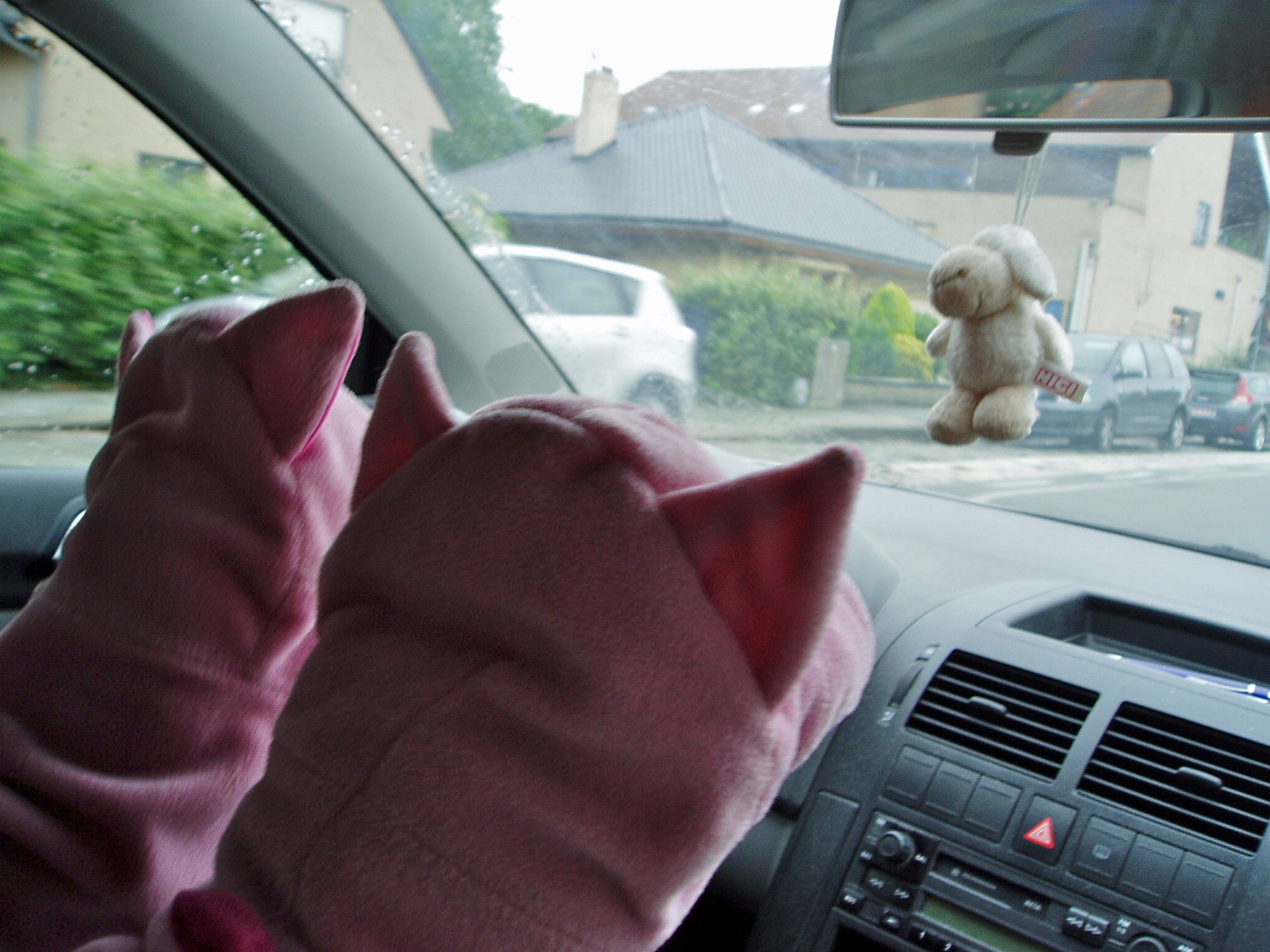 Am Samstag fuhren die Schweine nach Brügge.