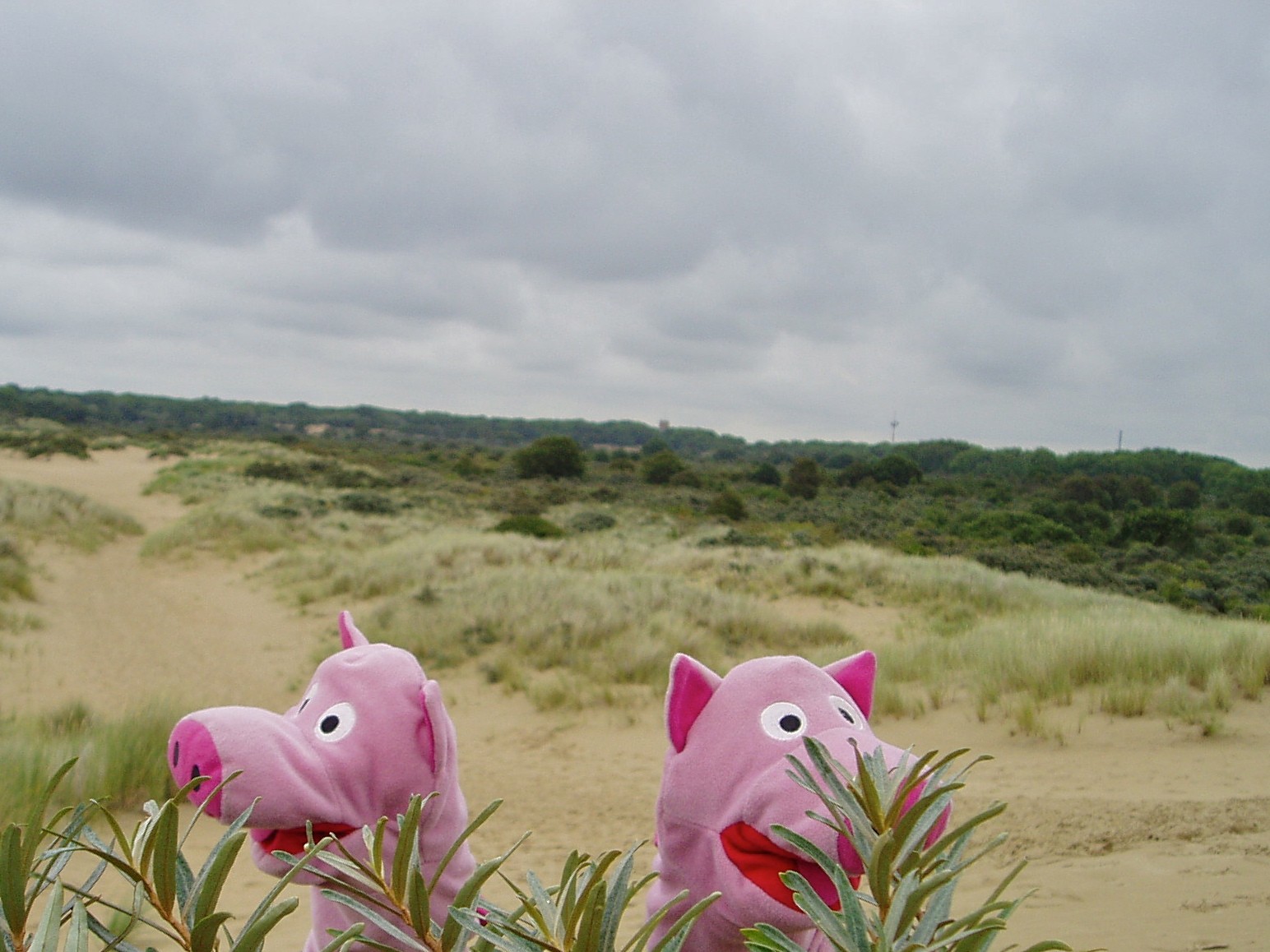 Am Sonntag wurde dann ein Spaziergang zum Strand gemacht.