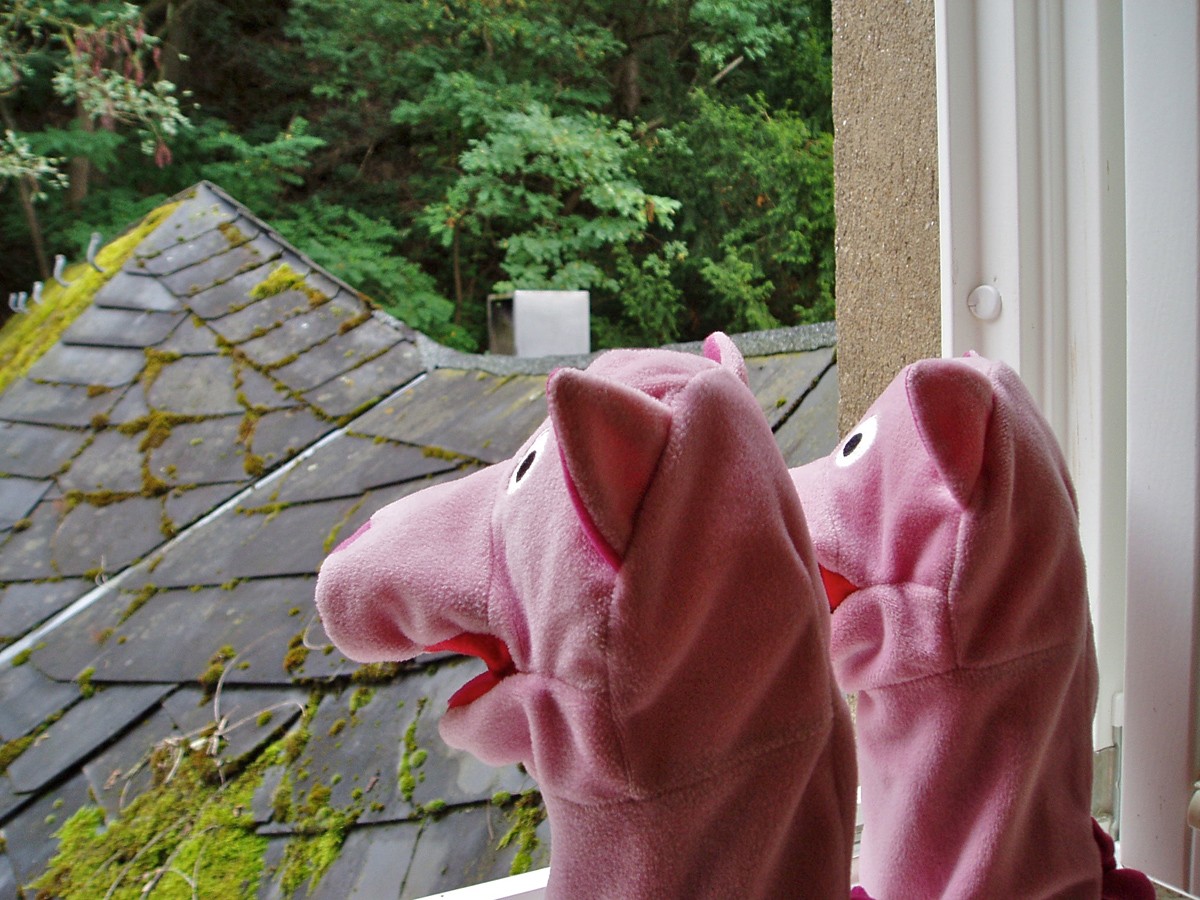 Am nächsten Morgen: wieder mal Regen. Sommer 2011. Schweinewetter!