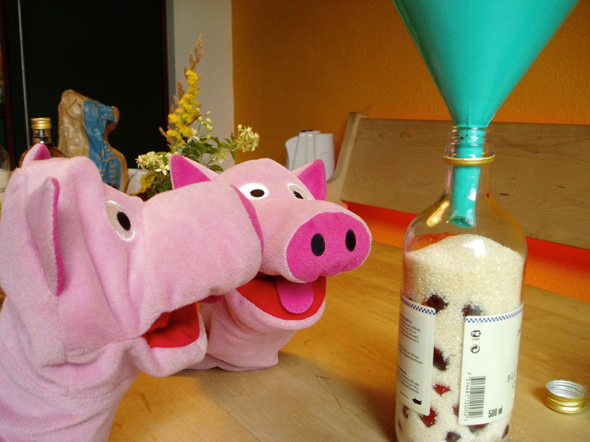 Die Kornelkirschen in die Flasche und Zucker drauf. Ist das nicht zu viel?