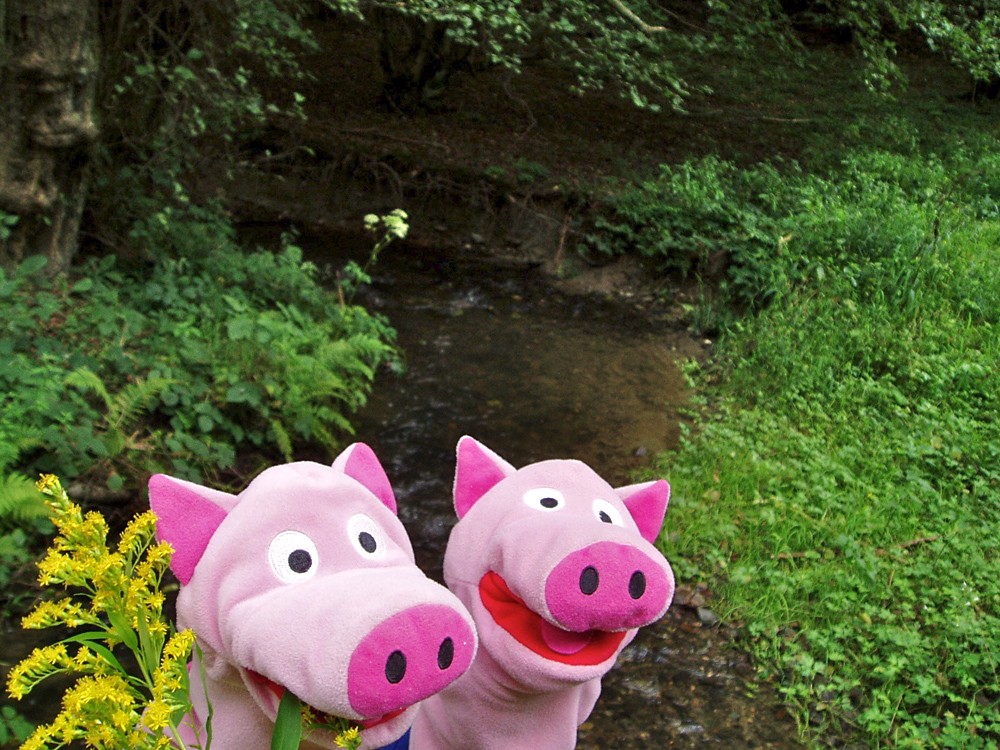 Noch schnell die gelben Blümchen probiert. Mmh, lecker! 
