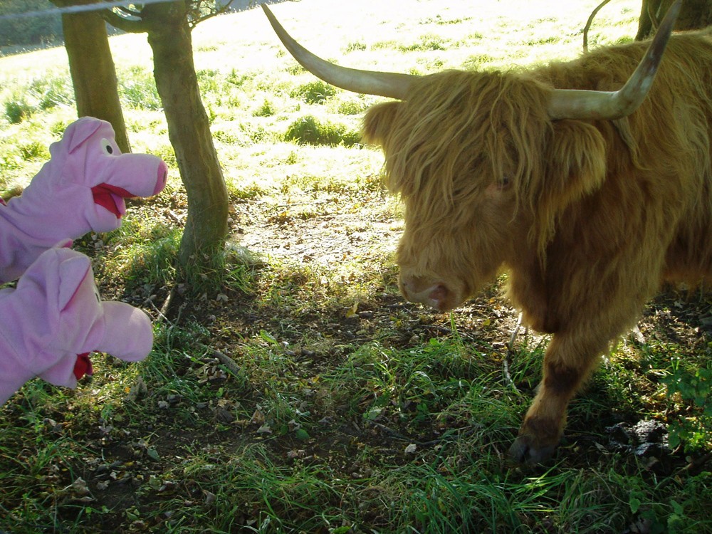 Nee, war nur ein Scherz, wir hätten auch gern Rastalocken.