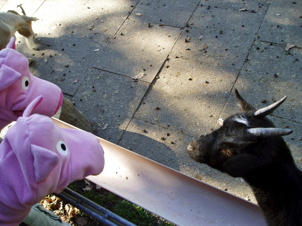 Sollen wir Dir was von unseren Kartoffelschalen abgeben?