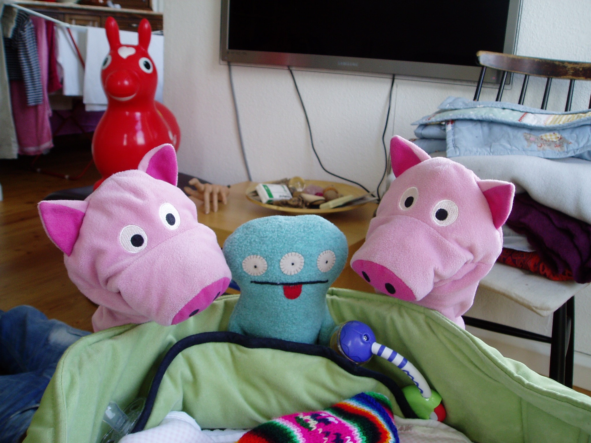 Warum diese Person den Schweinen die Zunge rausstreckt, ist nicht ganz klar.