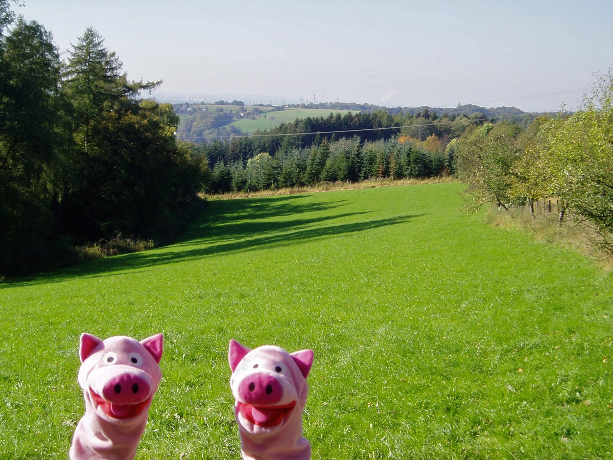 Und eine schöne Aussicht! Fernsicht bis zum Dom und darüber hinaus.