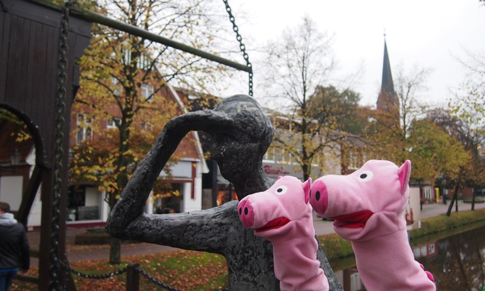 Die Schweine möchten wissen, was es da zu sehen gibt.