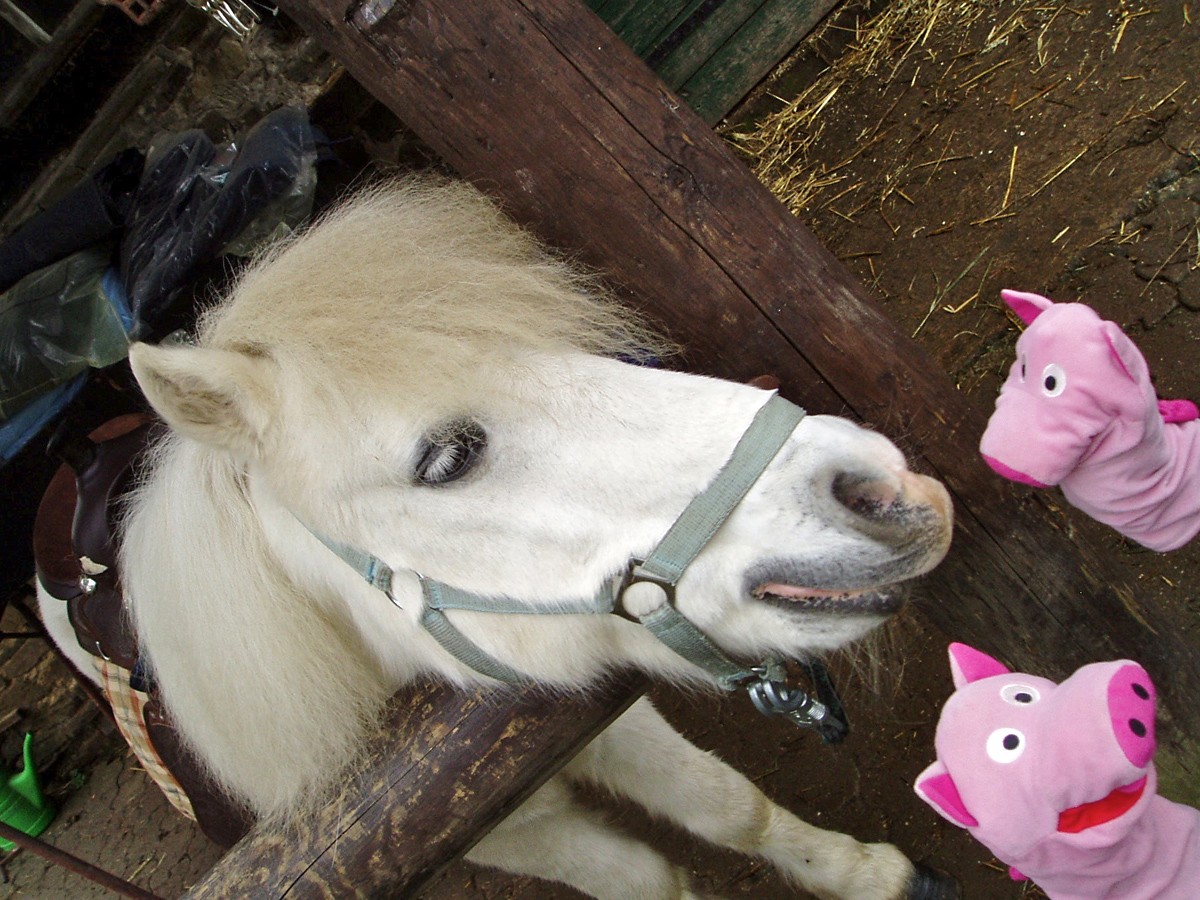 ... doch diese Person will offenbar knutschen. Rette sich, wer kann!