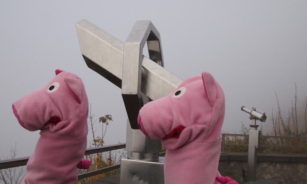 Die Enttäuschung war groß: auf dem Drachenfels sieht man nix.