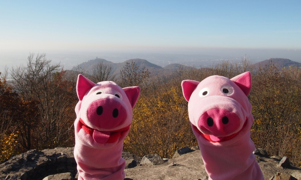 Endlich: von der Löwenburg kommt der Drachenfels in Sicht!