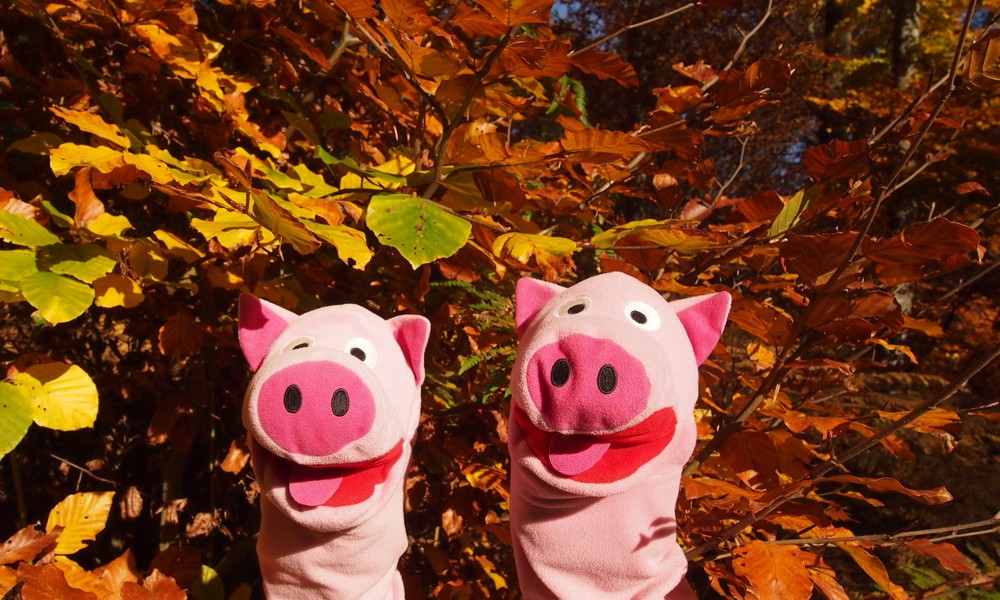 Herrlich: kartoffelgoldenes Herbstlaub!