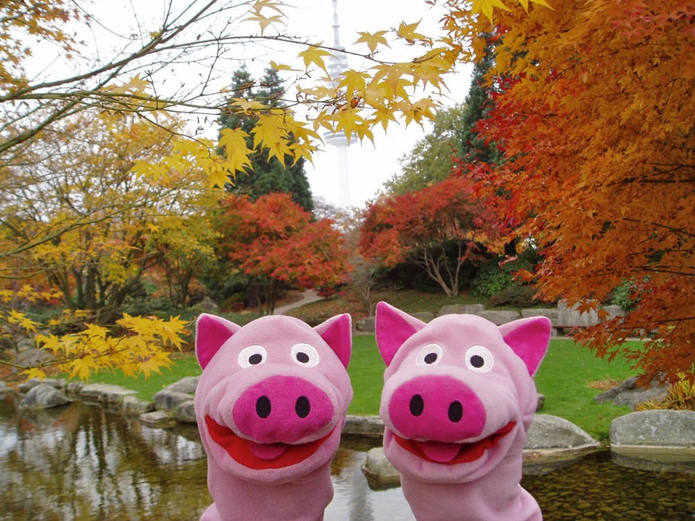 Gruß aus Hamburg! Trotz der fehlenden Fahrt mit der Reeperbahn war's lustig!