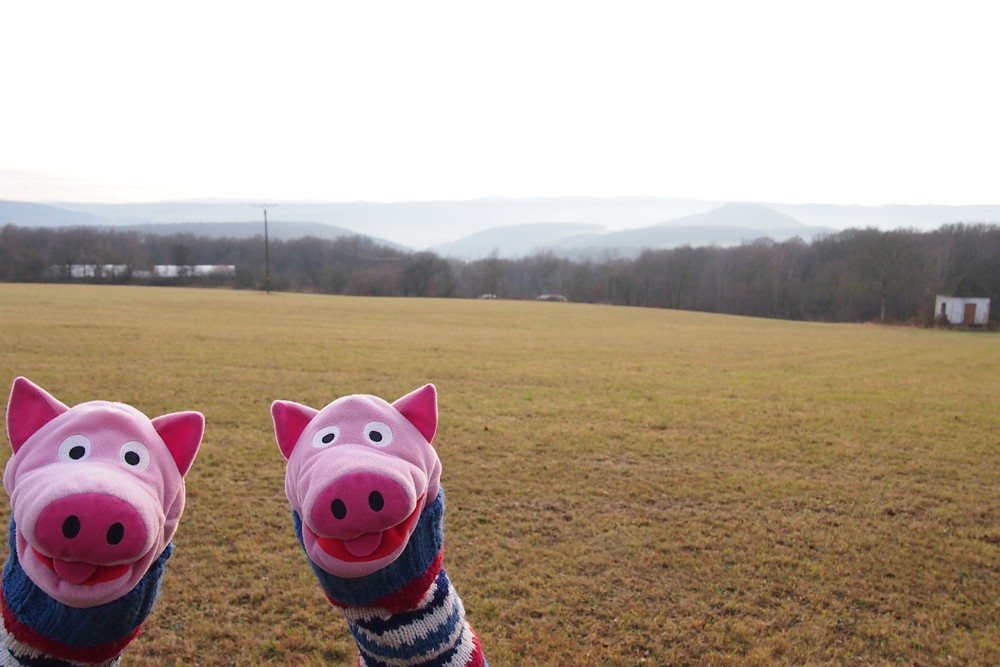 Weiter geht's, im Hintergrund die Eifel.