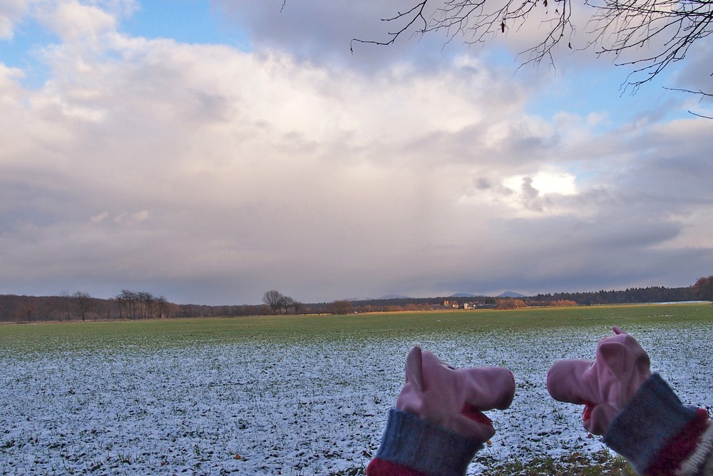 Die Schweine überlegen, ob sie auch mal im Siebengebirge wandern wollen. 