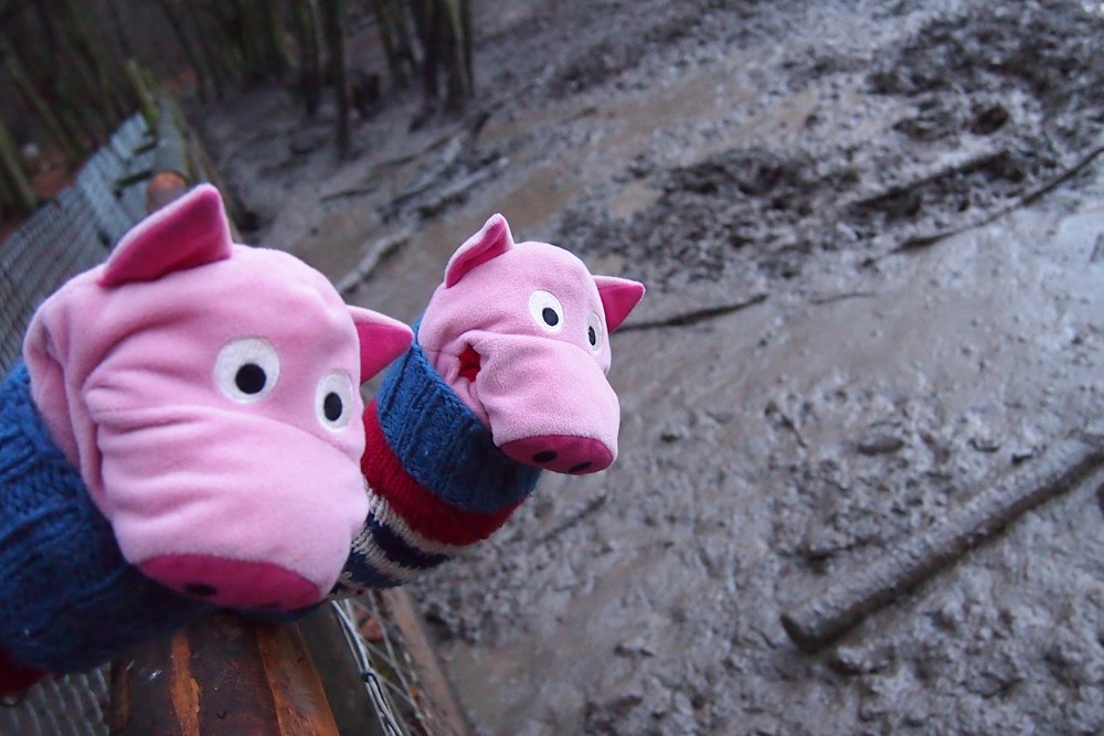 Oh, wie sieht's denn hier aus? Tee im Matsch?