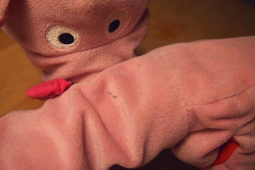 Die Schweine sind überall speckig und hier ist sogar ein Fleck!