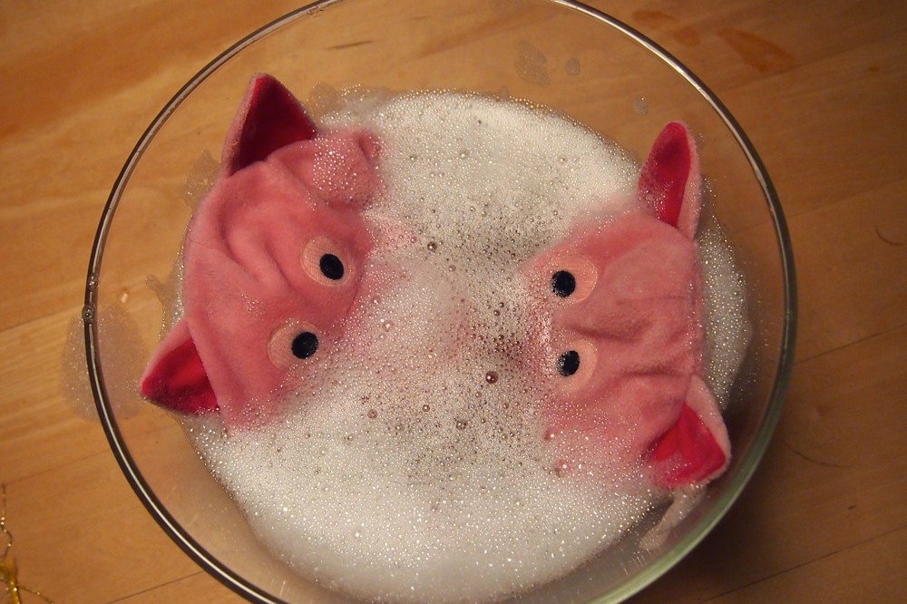 Schon ganz rosa in den Augen.