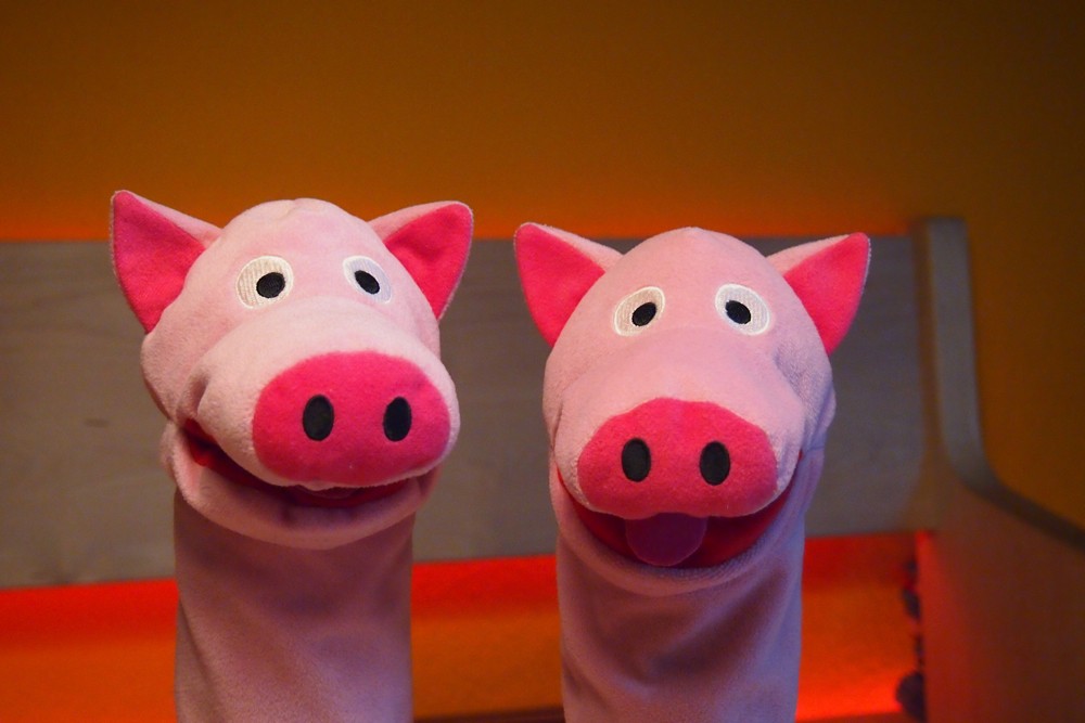 Nach dem Trocknen fühlen sich die Schweine wie neu geboren.