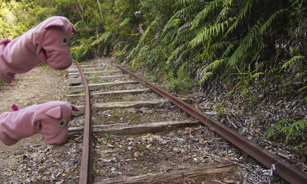 Der Zugverkehr in Neuseeland ist offenbar zum Erliegen gekommen.