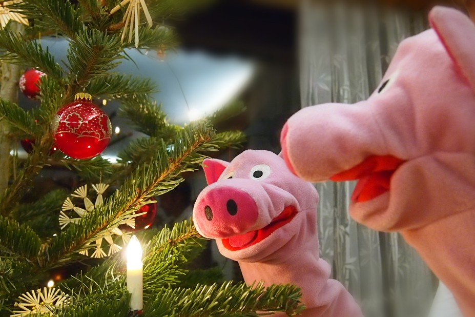 Der festlich geschmückte Baum bringt Schweineaugen zum Leuchten.