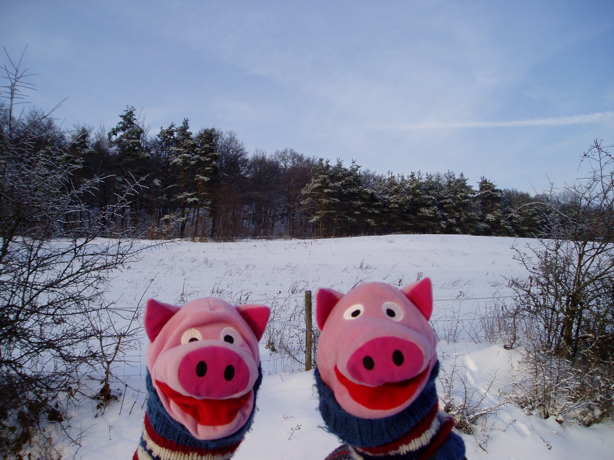 Mit den warmen Pullovern von der Oma war es auch draußen schön.