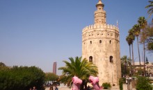 Die Schweine sind sich nicht einig, ob so ein Turm vielleicht schön im Garten wäre ...