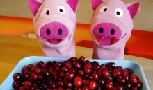 Erstmal wiegen, 750 g reichen für Likör und Essig. Fein!