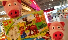 Am Flughafen: Die Schweine möchten noch etwas für zum Spielen im Flugzeug.