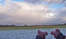 Die Schweine überlegen, ob sie auch mal im Siebengebirge wandern wollen. 